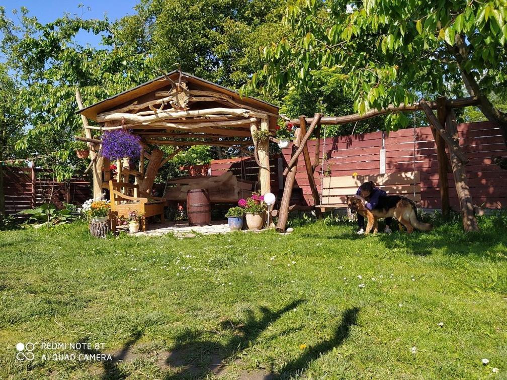 Agroturystyka Pod Kogutem Zamość Exterior foto