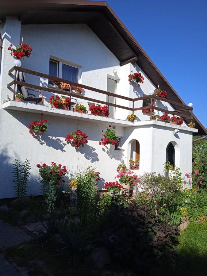 Agroturystyka Pod Kogutem Zamość Exterior foto