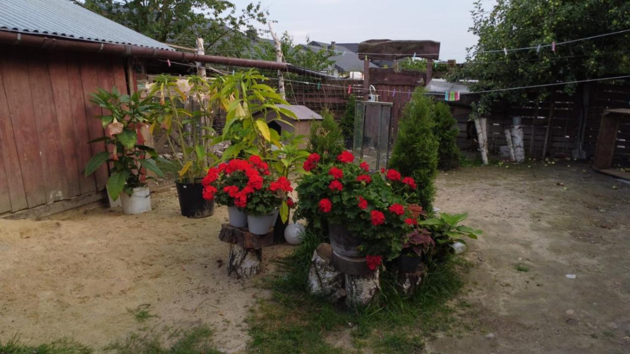 Agroturystyka Pod Kogutem Zamość Exterior foto